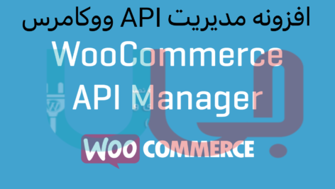 WooCommerce API Manager3